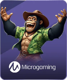 Microgaming